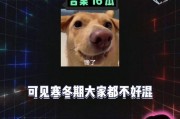 娱乐八卦吃瓜背景图,揭秘明星幕后故事，一起吃瓜看热闹！